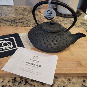 Display model Iwachu 16oz flat black cast iron Tetsu Kyusu teapot
